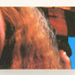 Fright Flicks 1988 Trading Card Sticker #10 Slimer - Ghostbusters ENG Topps L021825
