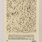 National Lampoon 1993 Trading Card #80 Do It Yourself - Jun 1982 ENG L021843