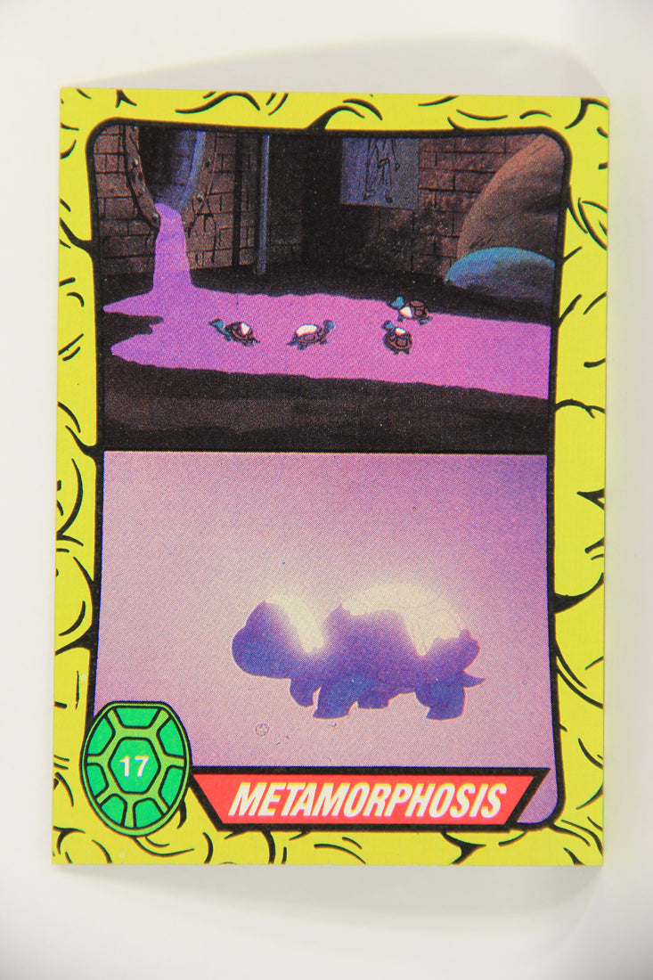 Teenage Mutant Ninja Turtles 1989 Trading Card #17 Metamorphosis ENG L021859
