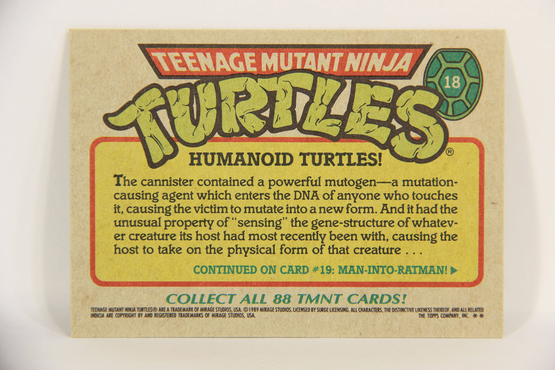 Teenage Mutant Ninja Turtles 1989 Trading Card #18 Humanoid Turtles ENG L021860