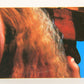 Fright Flicks 1988 Trading Card Sticker #10 Slimer - Ghostbusters ENG Topps L021972