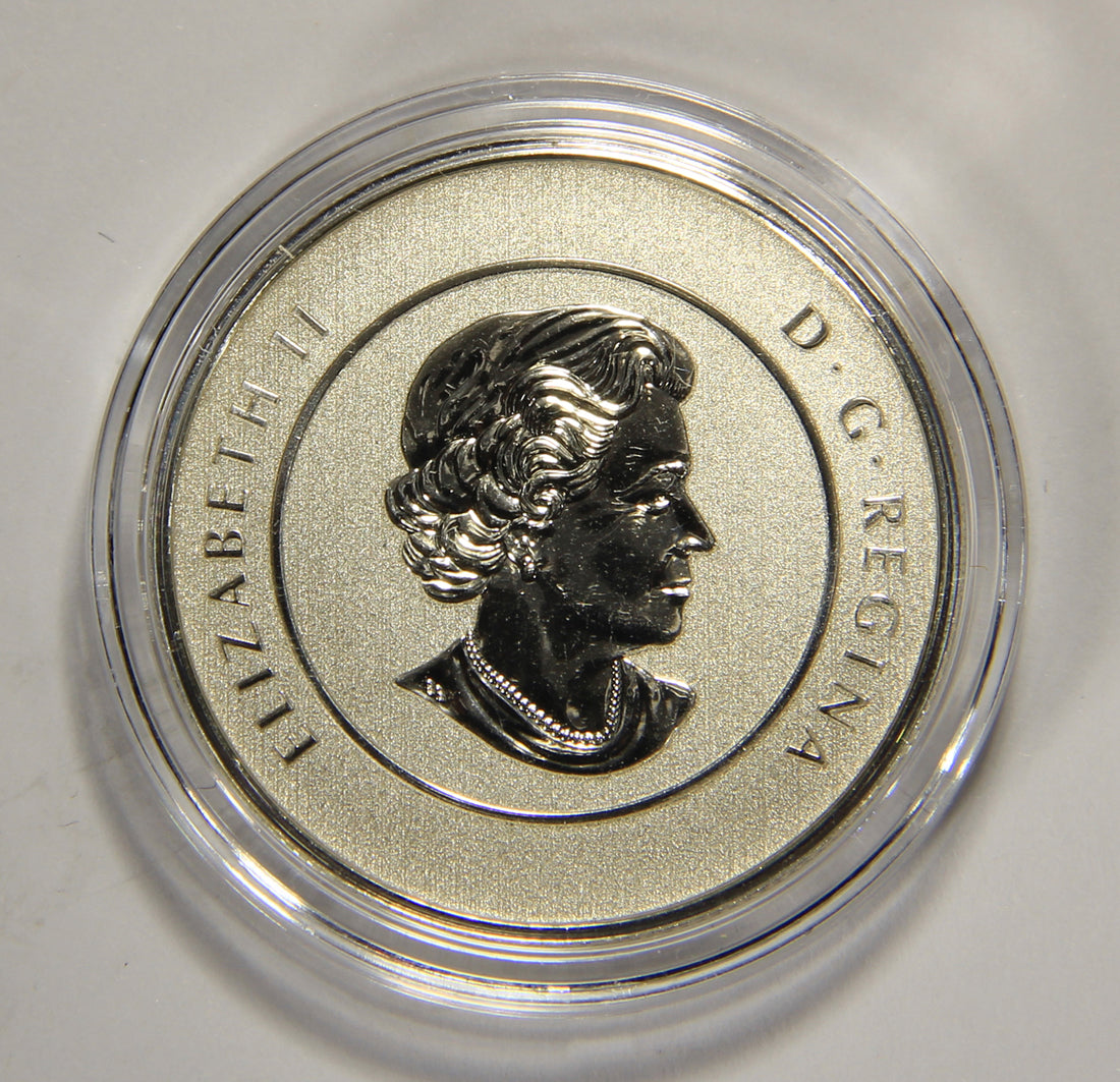 2013 Canada $20 Dollars Santa Claus Silver Coin .9999 Twenty Dollars 1/4 oz L022011