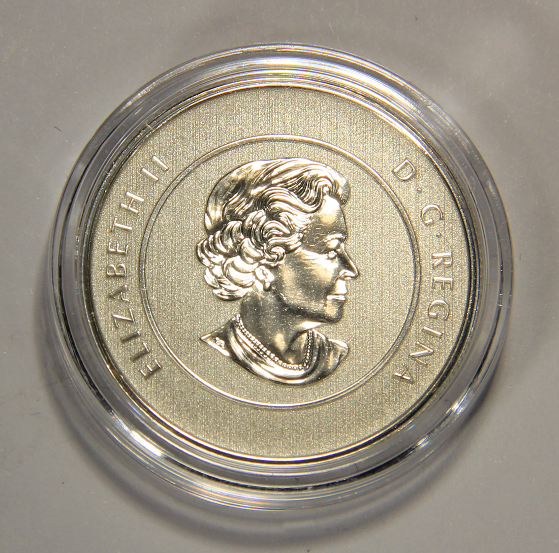2013 Canada $20 Dollars Santa Claus Silver Coin .9999 Twenty Dollars 1/4 oz L022011