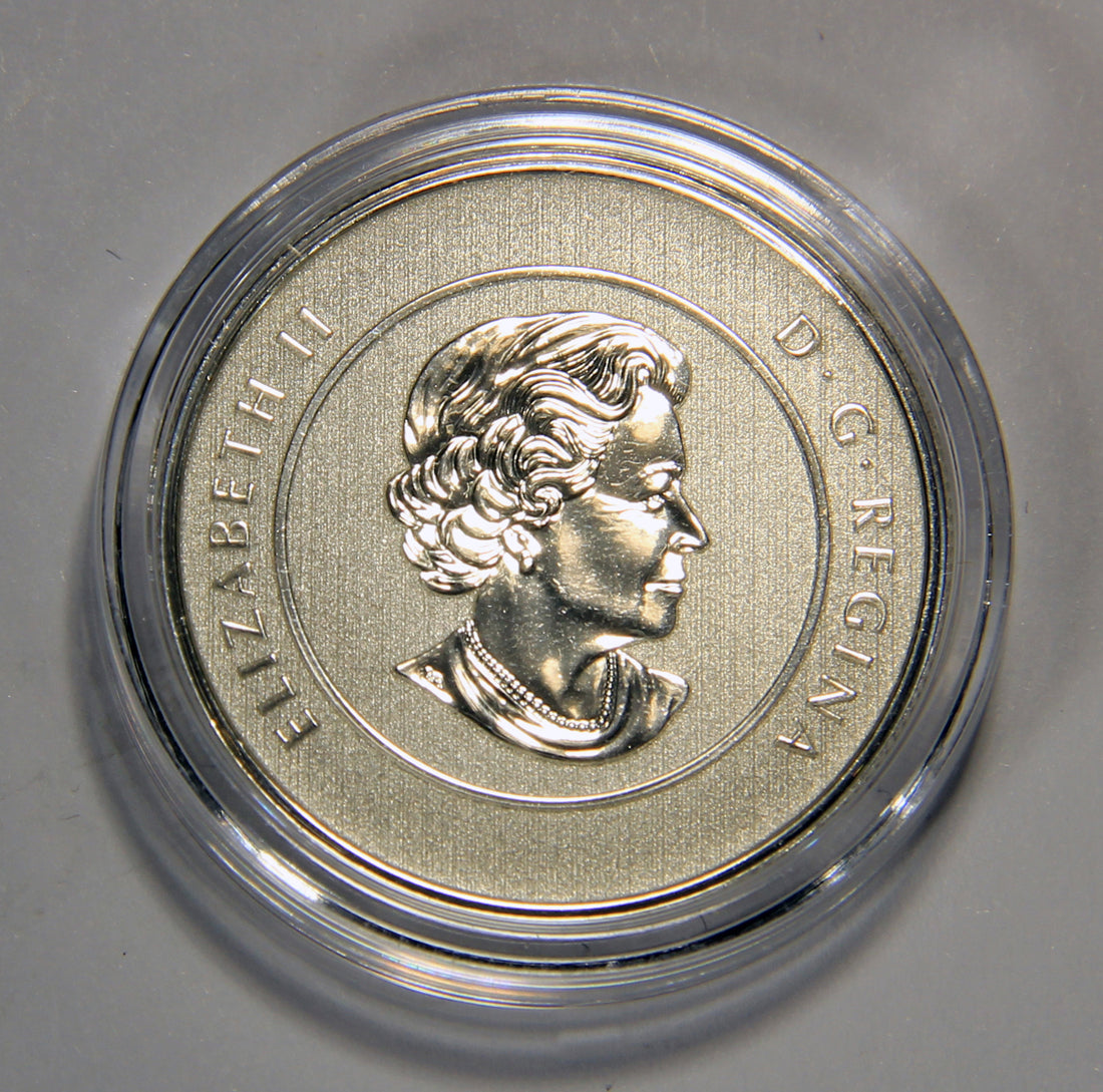 2013 Canada $20 Dollars Santa Claus Silver Coin .9999 Twenty Dollars 1/4 oz L022011