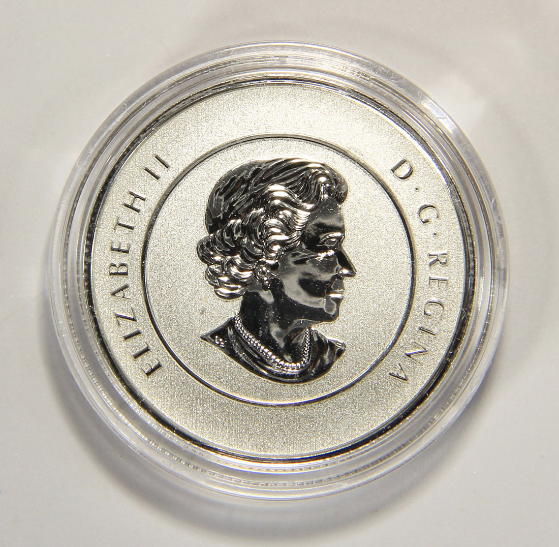 2014 Canada $20 Dollars Flying Goose Silver Coin .9999 Twenty Dollars 1/4 oz L022014