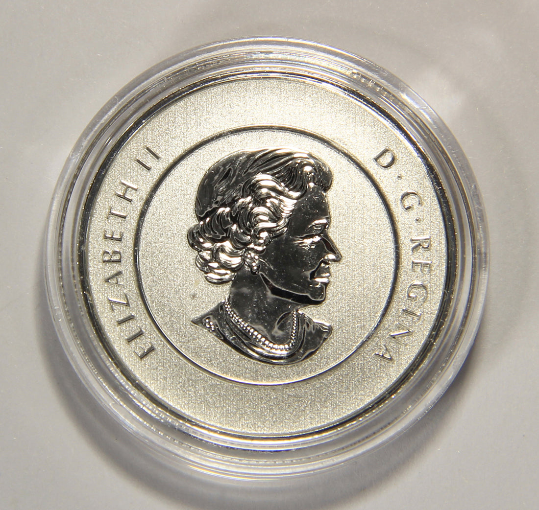 2014 Canada $20 Dollars Flying Goose Silver Coin .9999 Twenty Dollars 1/4 oz L022014