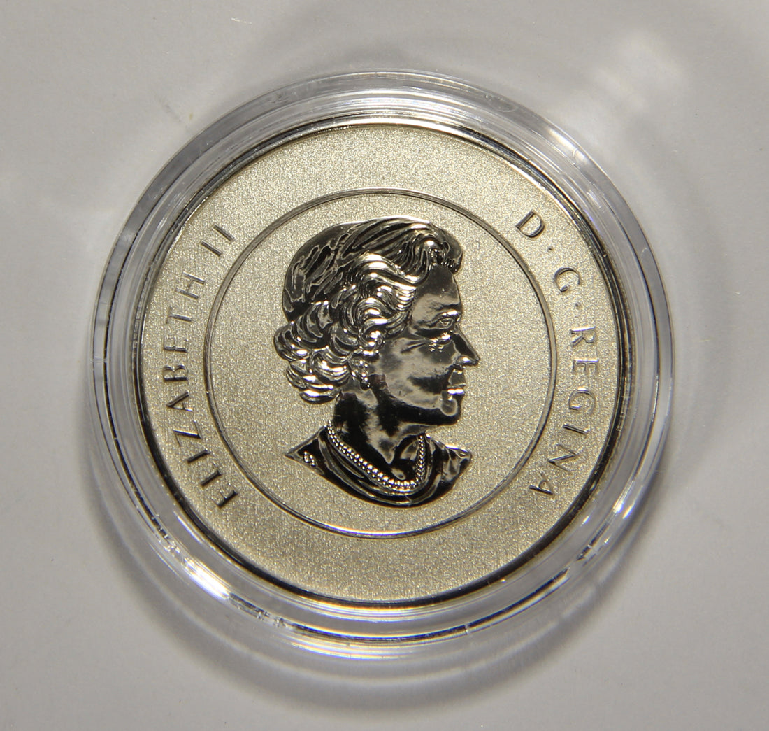 2013 Canada $20 Dollars Santa Claus Silver Coin .9999 Twenty Dollars 1/4 oz L022015