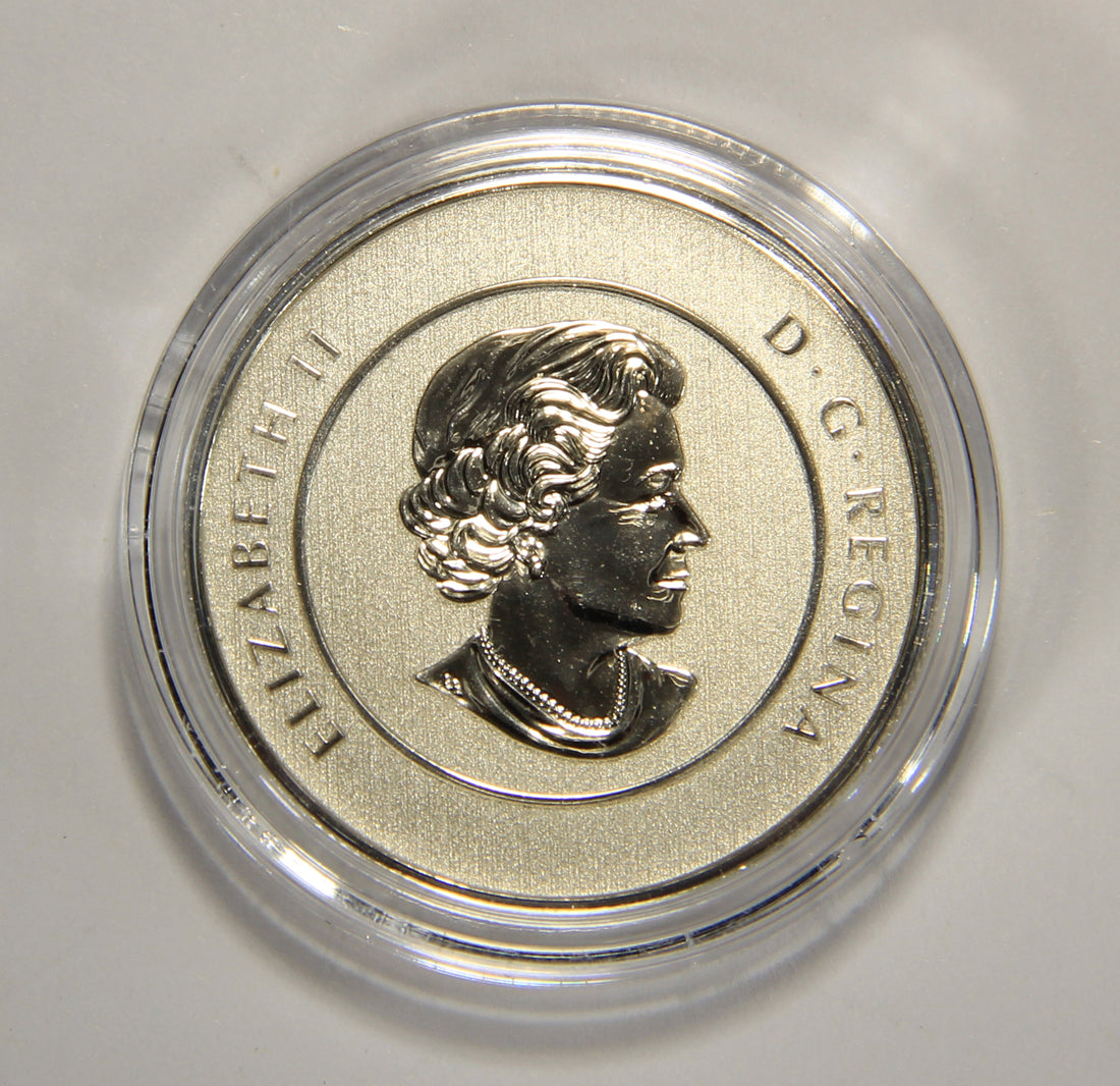2013 Canada $20 Dollars Santa Claus Silver Coin .9999 Twenty Dollars 1/4 oz L022015