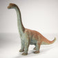 Dinosaur Apatosaurus AAA Toy 6.5 Inch Tall Great Colors L022016