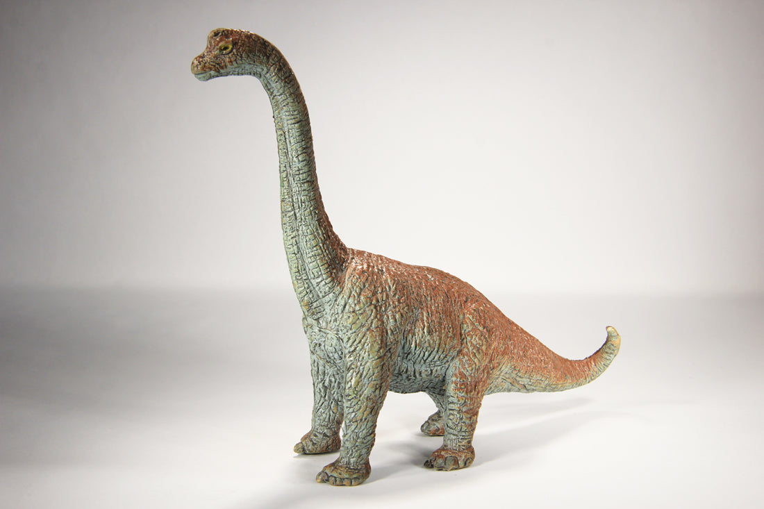 Dinosaur Apatosaurus AAA Toy 6.5 Inch Tall Great Colors L022016
