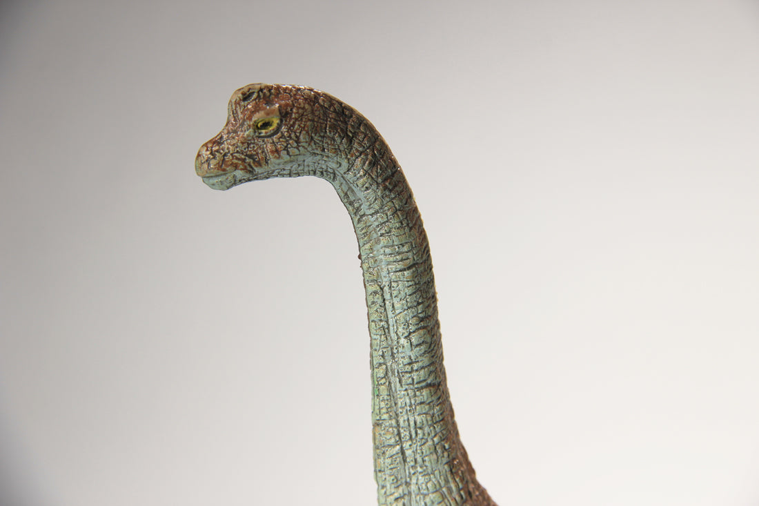 Dinosaur Apatosaurus AAA Toy 6.5 Inch Tall Great Colors L022016