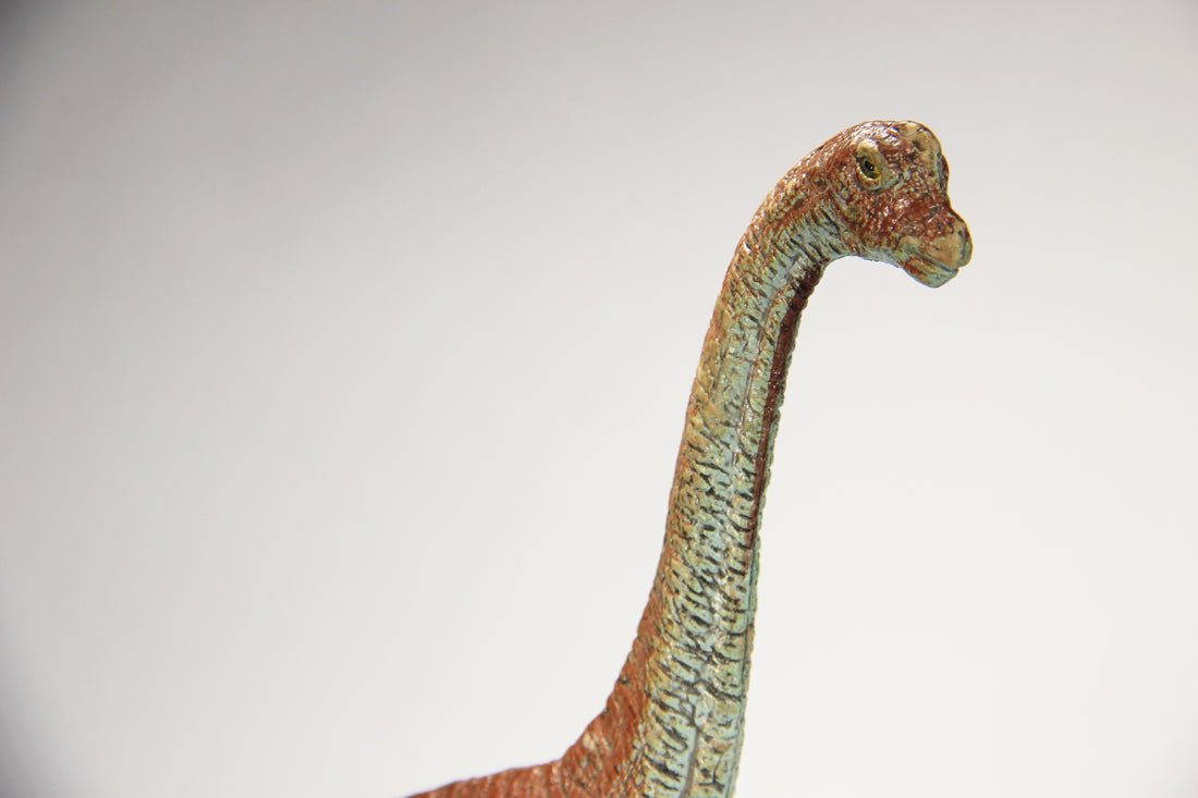 Dinosaur Apatosaurus AAA Toy 6.5 Inch Tall Great Colors L022016