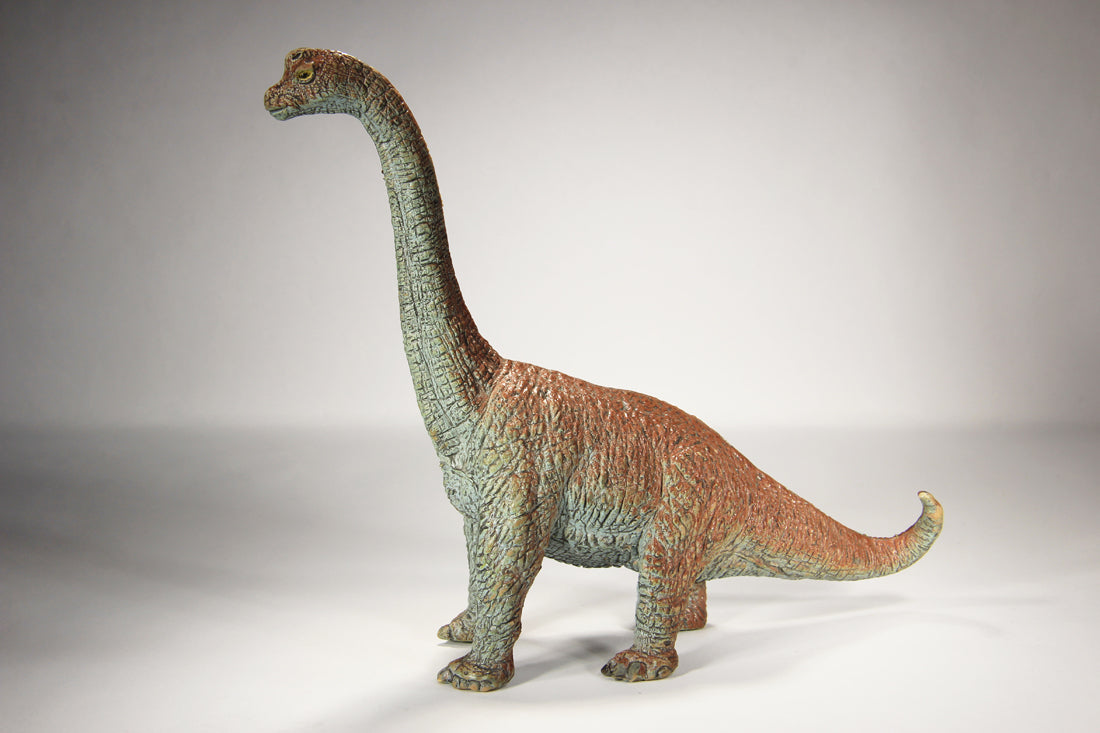 Dinosaur Apatosaurus AAA Toy 6.5 Inch Tall Great Colors L022016
