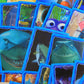 Finding Nemo Stickers 70 x Different For 2003 Panini Album Disney Pixar L002515