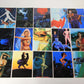 Ron Miller's Firebrands 1994 Artwork Trading Cards Complete Base Set #1-90 L006341