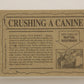Dinosaurs Attack 1988 Vintage Trading Card #8 Crushing A Canine ENG L010052