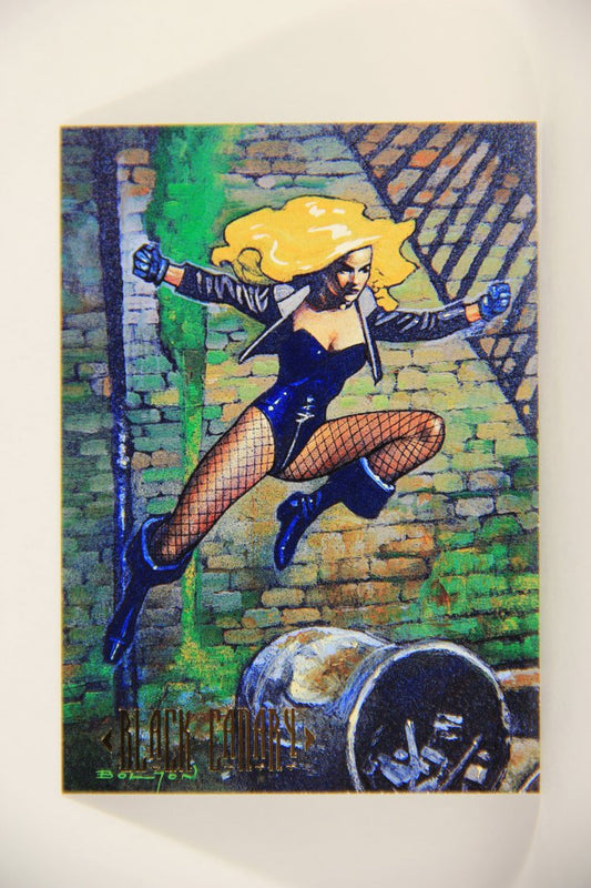 DC Master Series 1994 Trading Card #87 Black Canary ENG L010498