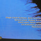 Microcosmos Le Peuple De L'Herbe 1996 Documentary Movie Poster Rolled 27 x 39 L015898